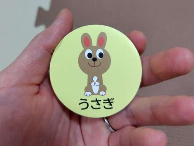 前から見た図