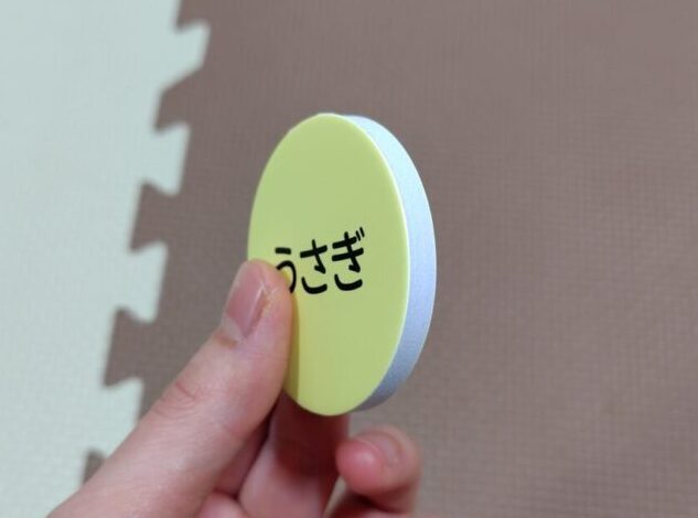 横から見た図