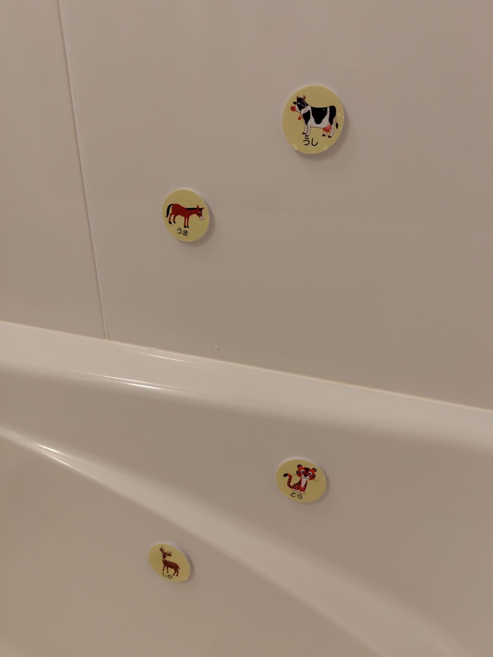 風呂壁や浴槽に貼っている